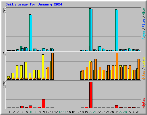Daily usage for January 2024