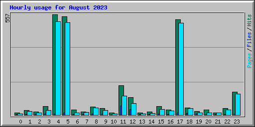 Hourly usage for August 2023