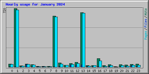 Hourly usage for January 2024