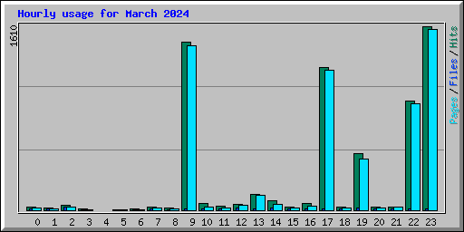 Hourly usage for March 2024