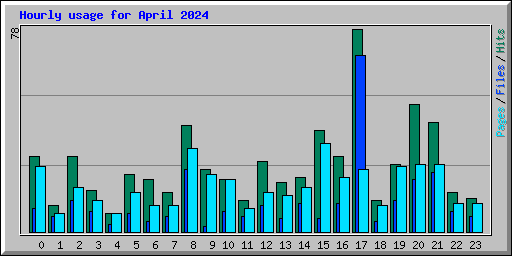 Hourly usage for April 2024