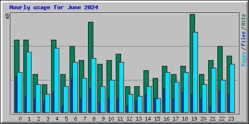 Hourly usage for June 2024