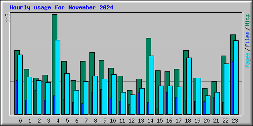 Hourly usage for November 2024