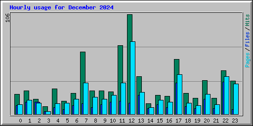 Hourly usage for December 2024