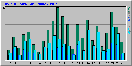 Hourly usage for January 2025
