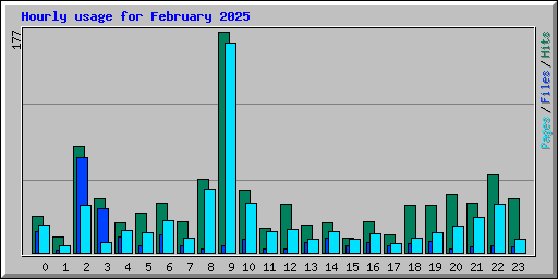 Hourly usage for February 2025