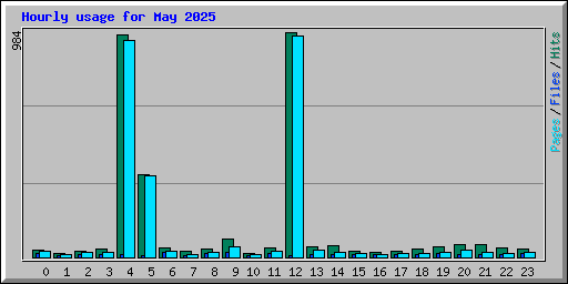 Hourly usage for May 2025