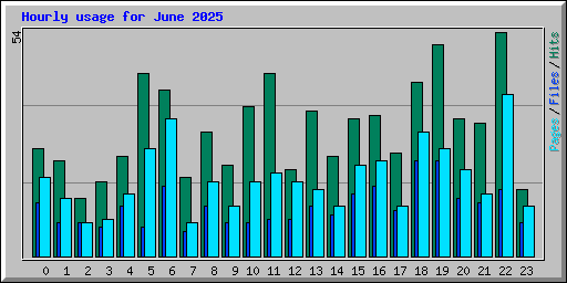 Hourly usage for June 2025
