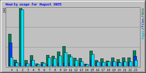 Hourly usage for August 2025