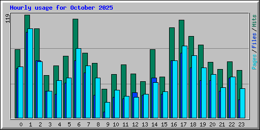 Hourly usage for October 2025