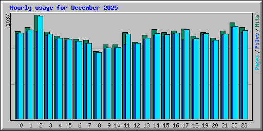Hourly usage for December 2025