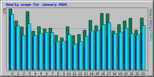 Hourly usage for January 2026